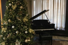 Christmas-Tree-Nursing-Home-Event-1